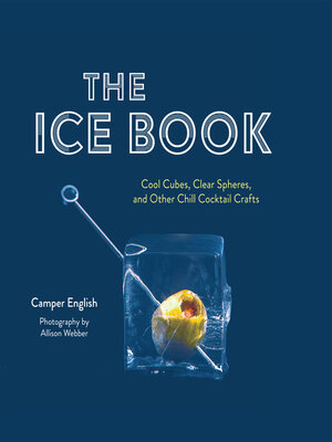 cover image of The Ice Book